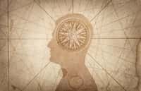 Améliorer sa mémoire, c’est possible grâce à ces astuces validées scientifiquement. © Tryfonov, Fotolia
